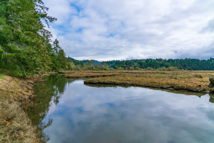 水產養殖水質檢測 水產養殖水質檢測