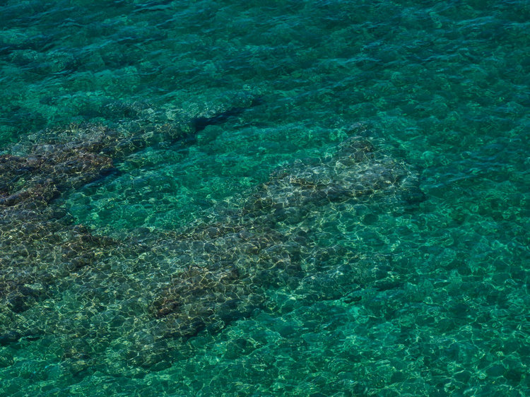 COD監(jiān)測(cè)儀 COD監(jiān)測(cè)儀